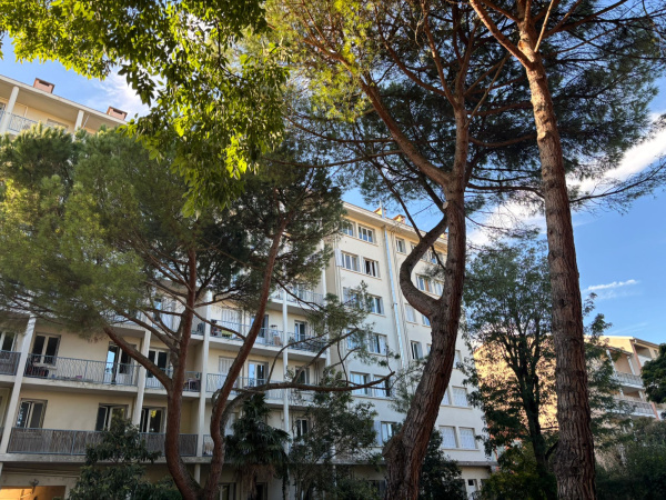 Offres de location Appartement Toulouse 31400